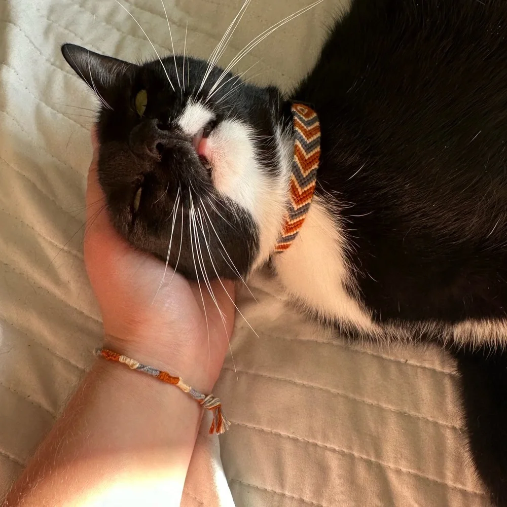 Handmade Friendship Bracelet Cat Collars